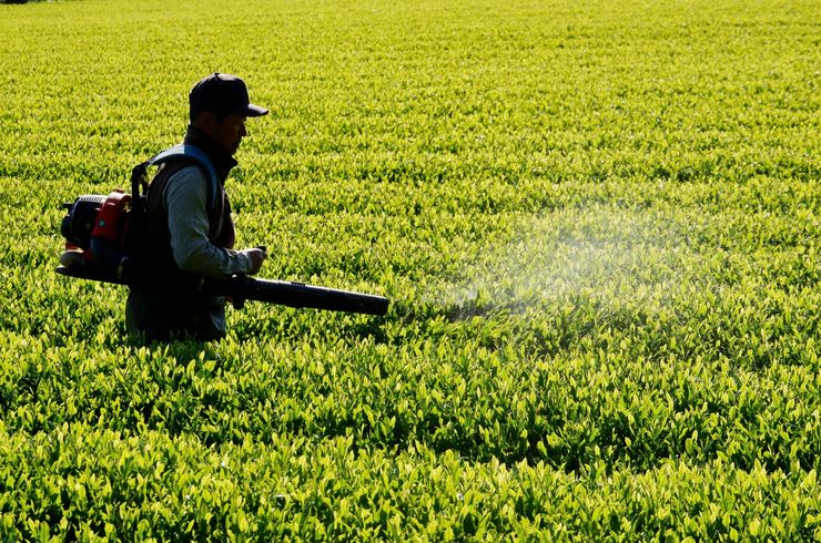 プラン⑥：消毒・施肥（単体）