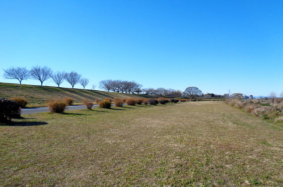 かけっこ教室・陸上スクールのJOHHOKU CABALLO《多摩川校》