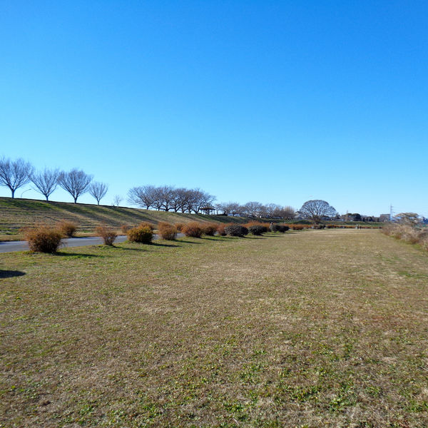 かけっこ教室・陸上スクールのJOHHOKU CABALLO《多摩川校》